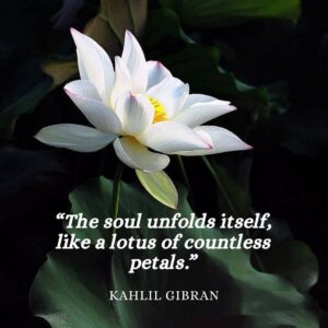 the soul unfolds like a lotus of countless petals